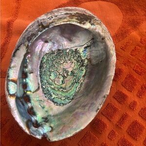 Iridescent Abalone Shell Art Piece